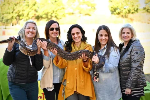 A group of adults smile while holding a long boa together.